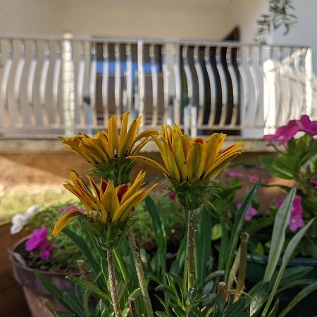Apartment Ika Baška Eksteriør billede